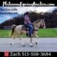 Broke/Safe trail horse, gentle for the whole family! Super smooth gaited and Very Flashy!!!
