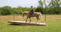DREAMHORSE!!! Beginner and Family safe, Ranch Horse, Ropes, Pens, BROKE, Lots of color, Lesson Horse… Confidence Builder!!!