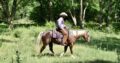 Great on trails, ranch used, beginner and family safe! Place your bid at www.PlatinumEquineAuction.com
