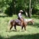Great on trails, ranch used, beginner and family safe! Place your bid at www.PlatinumEquineAuction.com