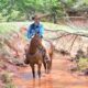 True Ranch Horse, great on trails, Safe for the Whole Family