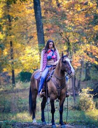 Broke/Safe trail horse, gentle for any rider on trails! Jumps, does Tricks… DreamHorse!