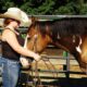 big stout and gentle for trails or around the ranch! Penning, Sorting, Roping, Cutting, Reining!